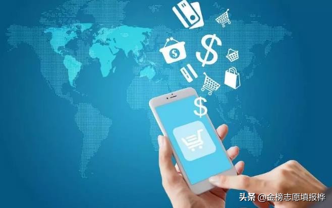 電子商務 平臺開發(fā)與運營的核心解析